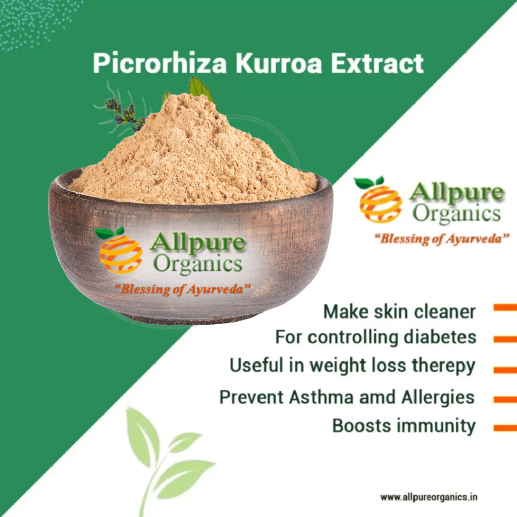 Picrorhiza Kurroa